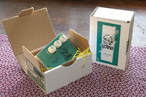 Lòsna Electronics A01 Type Zero packaging 100% plastic-free.